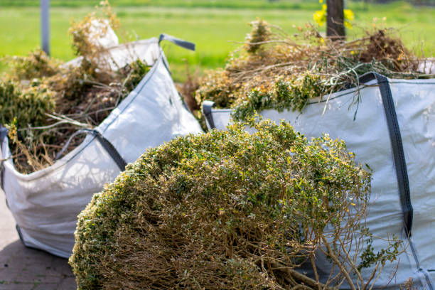 Best Basement Cleanout Services  in Eaton, OH
